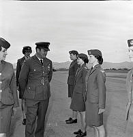 WgG181-72.jpg