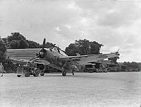 PR3233.JPG