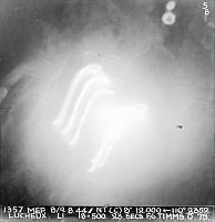 2011-2129.13.jpg