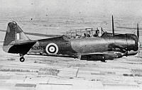 MUS1001837.jpg
