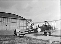 ALB8319526370.jpg