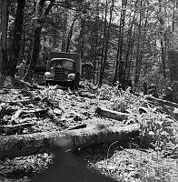 PRS66.JPG