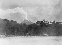 ALB873251053.jpg