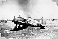 ALB1919010120.JPG