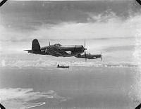 ALB86260115.jpg