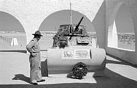 Dof3198.jpg