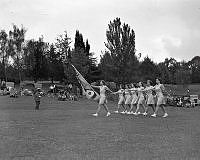 HamG1093_1_1.JPG