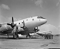 DM251-52.jpg