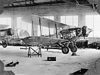 MUS030903.JPG