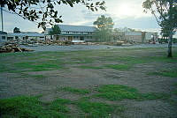 MUS9805011.JPG