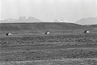 WgG262-89-85.jpg