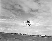 WhG5232-53_1.JPG