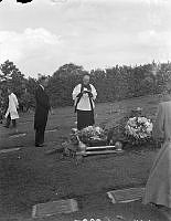 WhG3927-52_1.JPG