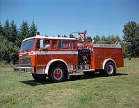 M-F1-3.jpg