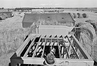 WgG492-9a-79.JPG