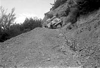WgG3394-9a-74.jpg