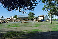 MUS9804415.JPG