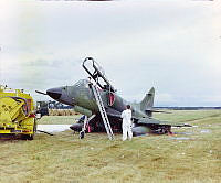 CrNZ6254N5.JPG
