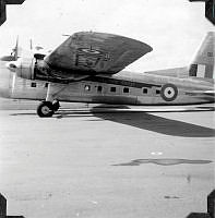 ALB971531065.jpg