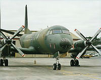MUS080133.jpg