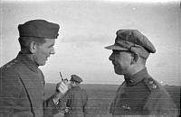 ALB8319526365.jpg
