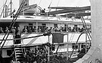 ALB8319526220.jpg