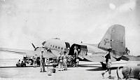 ALB873251060.jpg