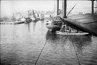 ALB85364014.jpg