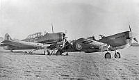 MUS110016_1.jpg