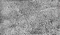 2004-044.1a_p3.jpg