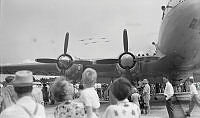 WhG4159-53_1_1_1.JPG