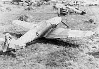 ALB198236513028.jpg