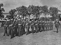WhG25-75.jpg