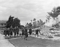 PR1956.jpg