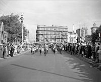 WgG8232-58.jpg