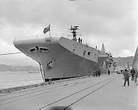 PR7732-2-68.jpg