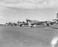 ArdG1038-45.jpg