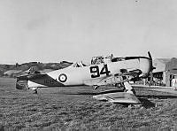 OhG1196-82.JPG