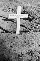 PR7836.jpg