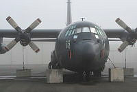 MUS25033.jpg