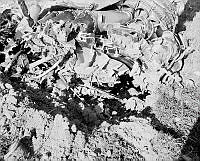 WhG3184-52_1_1.JPG