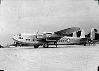 ALB971531247.jpg