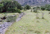 Wb93-95.jpg
