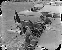 PR464-56.jpg