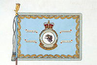 14 SQUADRON STANDARD_1.tif