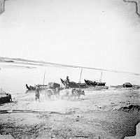 ALB1919010135.JPG