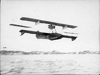 ALB85364023.jpg