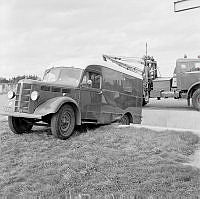 OhG3254-70.JPG