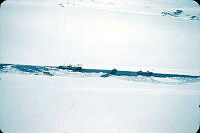 2009-500.139.jpg