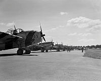 DM193-52.jpg